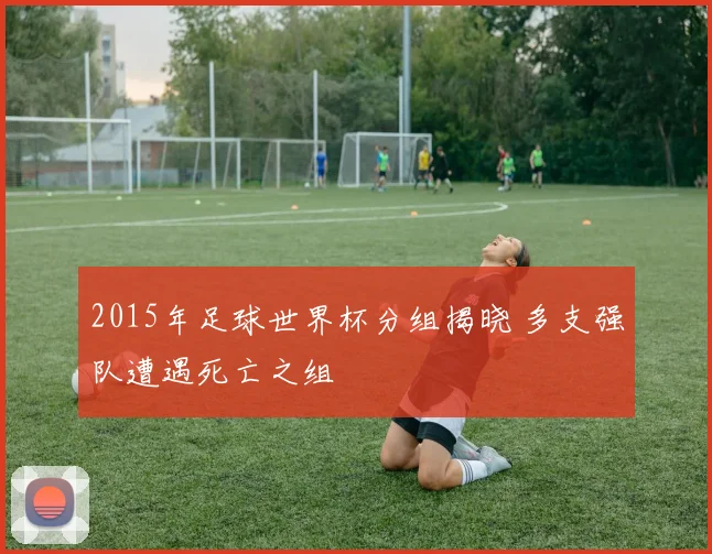 2015年足球世界杯分组揭晓 多支强队遭遇死亡之组