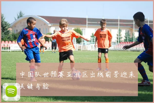 中国队世预赛亚洲区出线前景迎来关键考验